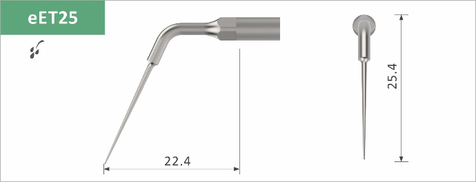 eET25 Endo Revision