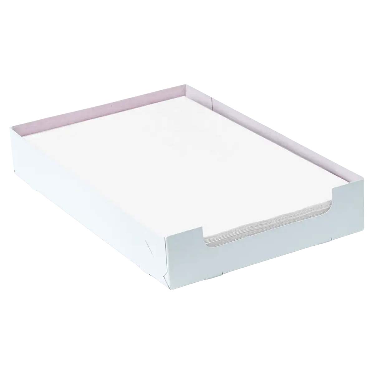Einweg Tray-Filterpapier in der Box, 18 x 28 cm | 250 Stück