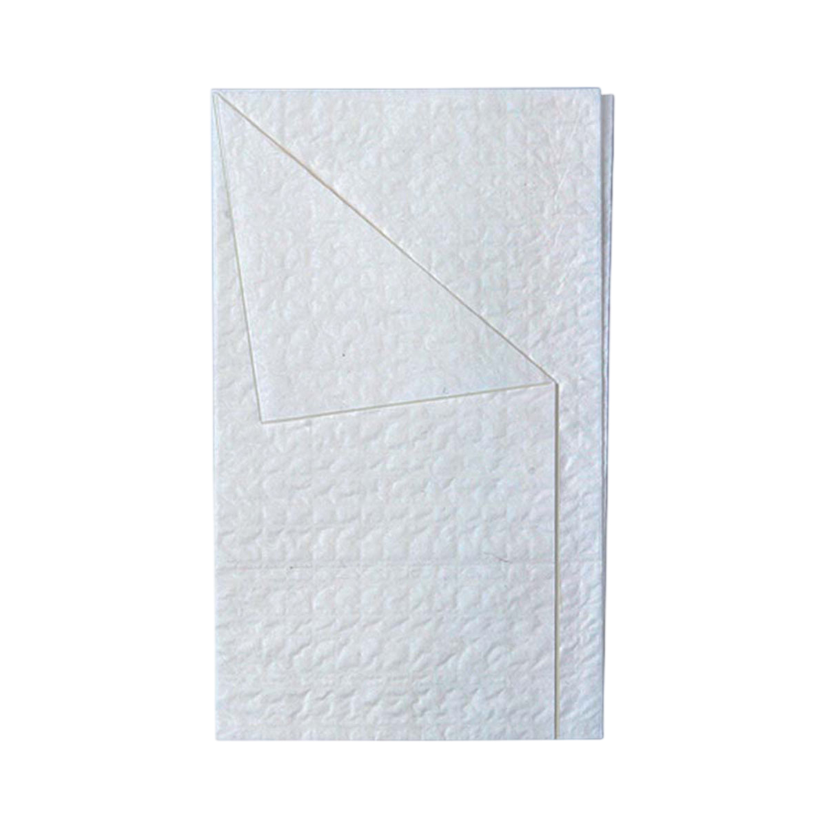 10 Blister mit 2 sterilen Handtüchern 34x37 cm