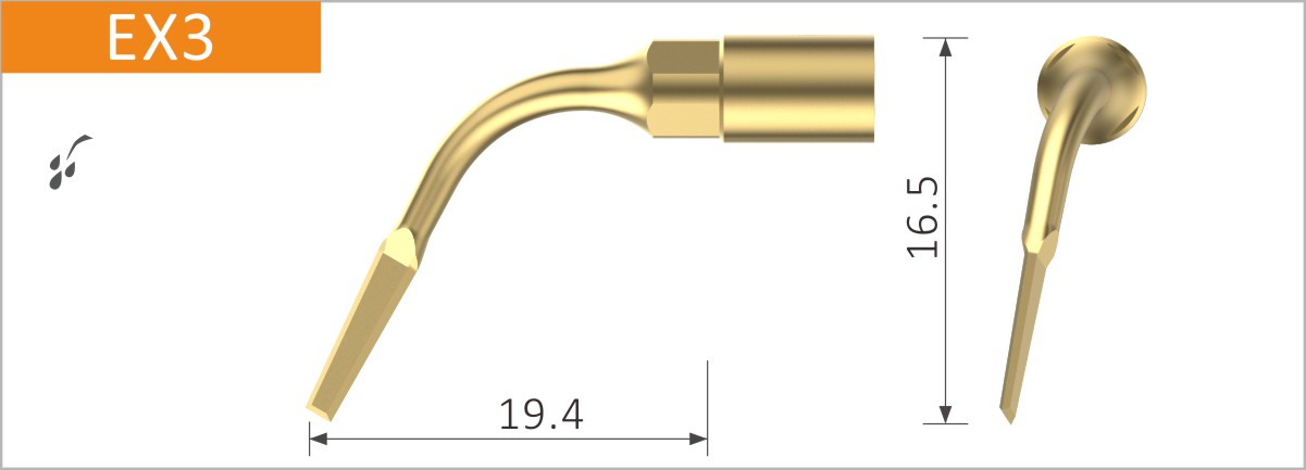 EX3